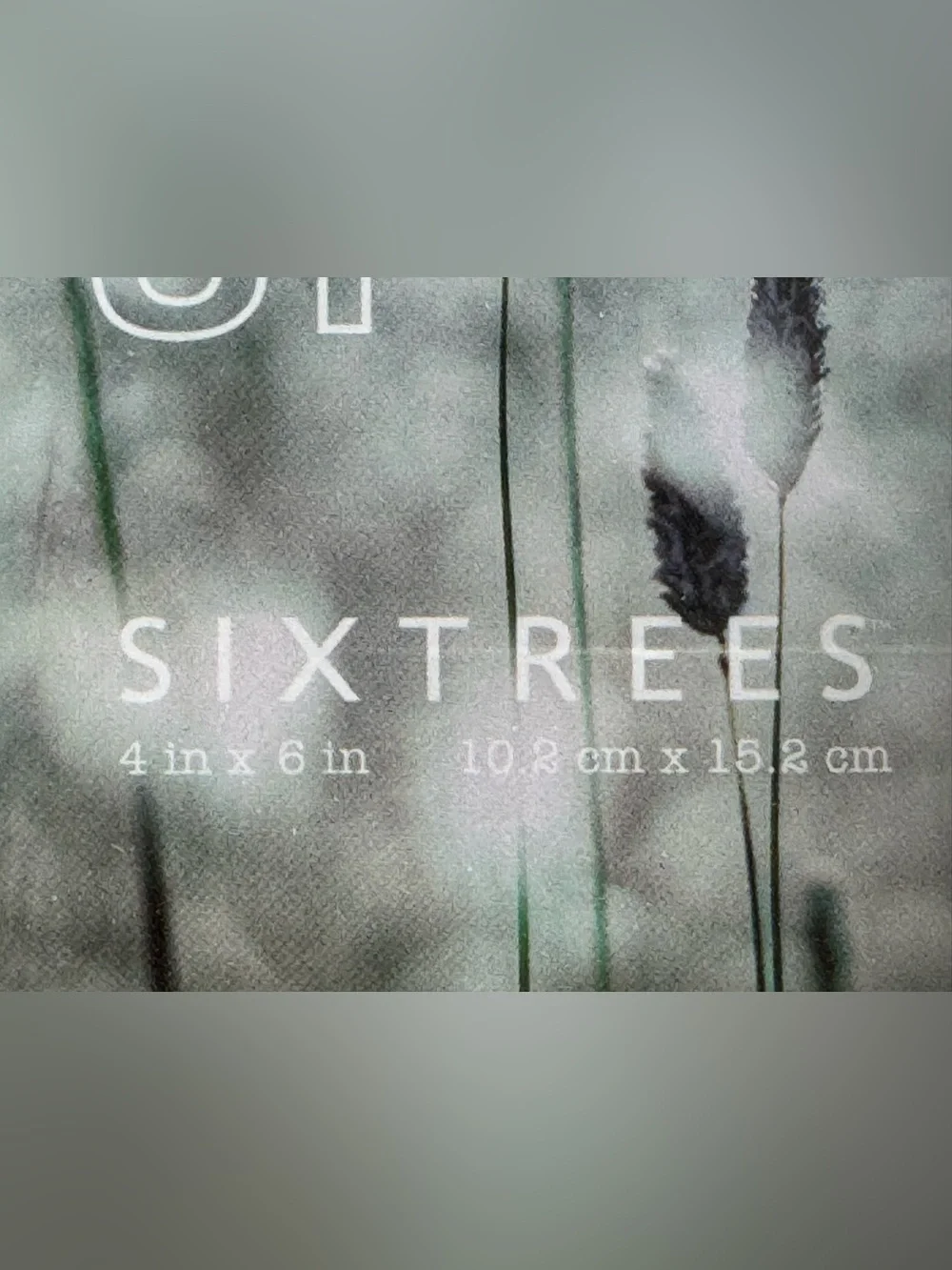 4”x6” Sixtrees White Photo Frame